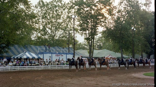 Rock Creek Horse Show Tradition and the Elegance of the American Saddlebred