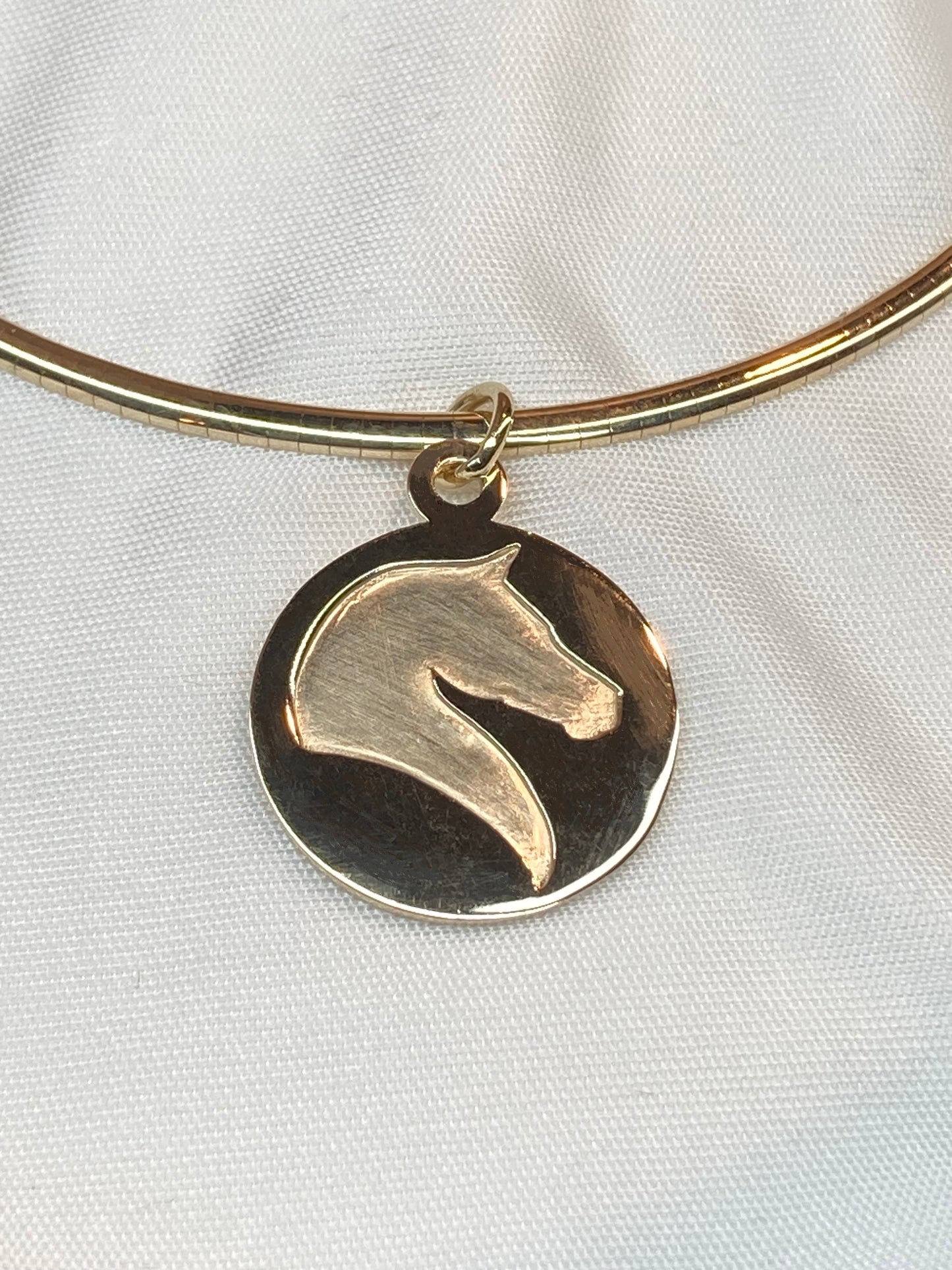 14k Gold Studio Logo Pendant on 14k Gold Omega Chain.