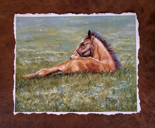 First Foal Giclee