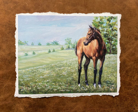 The Filly Giclee
